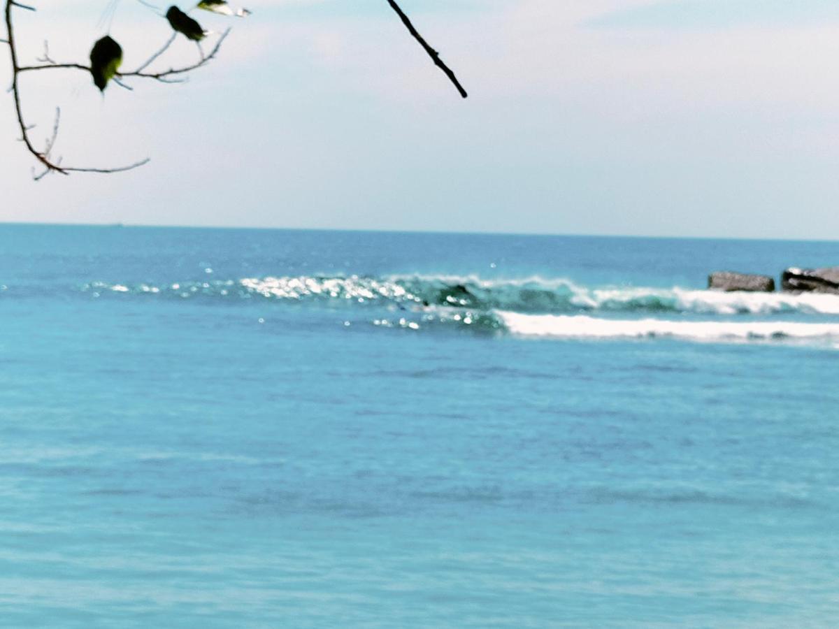 Hotel Secret Swell Tangalle Exterior foto